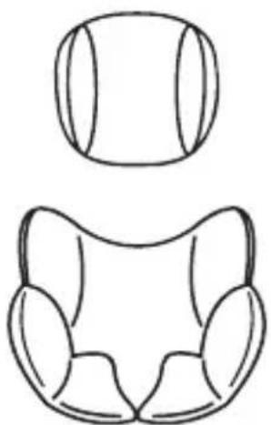 Osann Safety Lissabon - Imbottitura per la testa e inserto comfort - 1