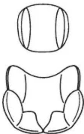 Osann Safety Lissabon - Coussin pour la tête et garniture de confort - 1