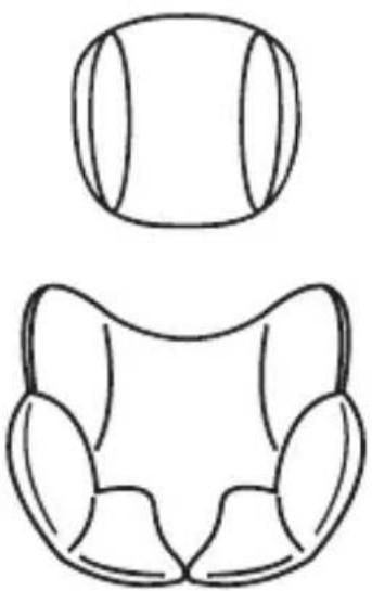 Osann Safety Barcelona - Head cushion &amp; comfort insert - 1