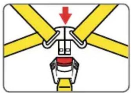 Osann Safety Barcelona - IT - 3