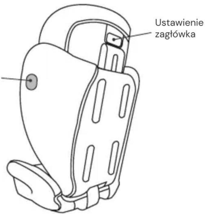 Osann Volpo SP - Widok z tyłu - 2