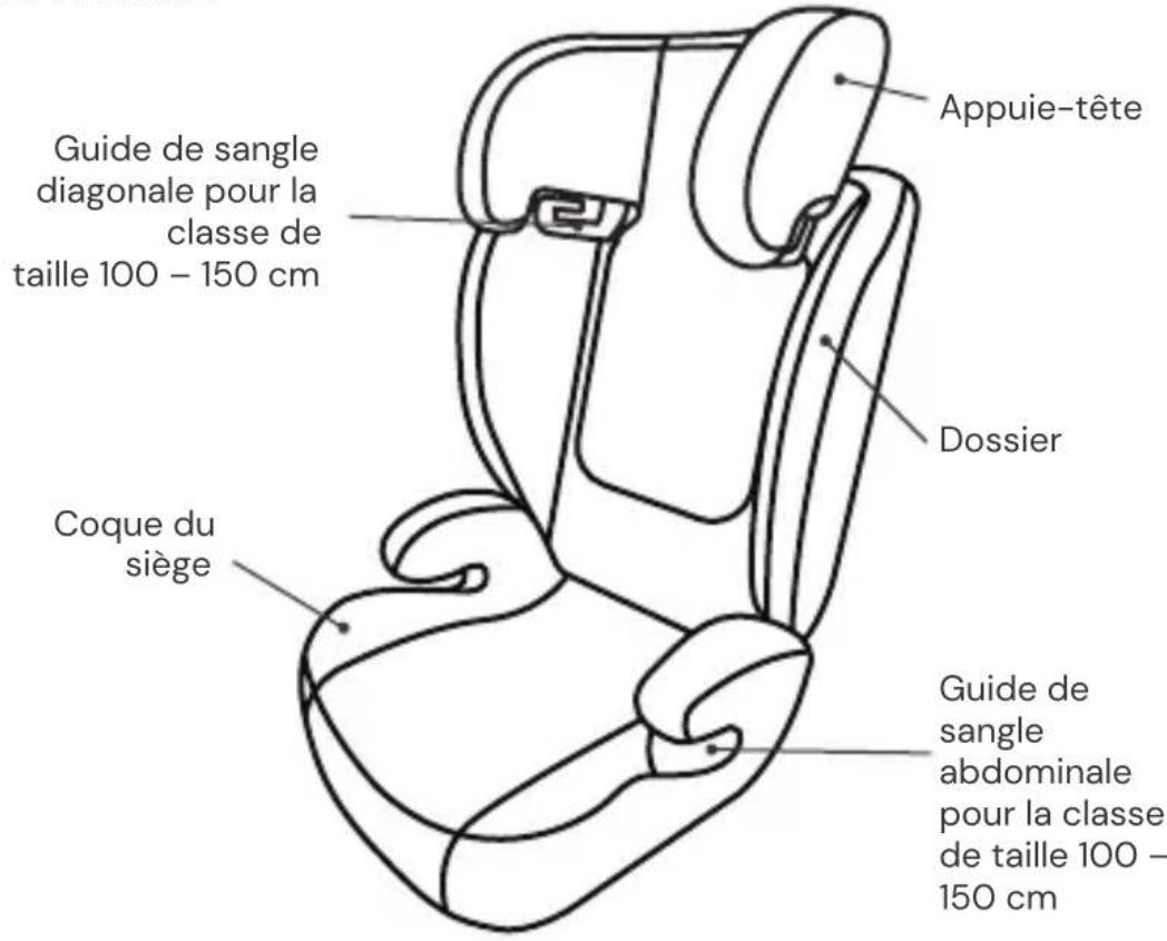 Osann Musca - ÉLÉMENTS DU SIÈGE - 1