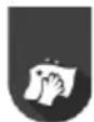 GORENJE SVC252426FFCA - ÎNCĂRCARE - 1