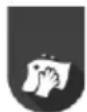 GORENJE SVC252426FFCA - ПОЛНЕЊЕ - 1