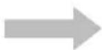 GLORIA Pro 500 - Conformiteitsverklaring - 1