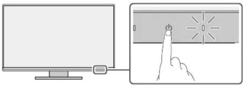 EIZO FlexScan EV2400R - Цветной ЖК-монитор - 12