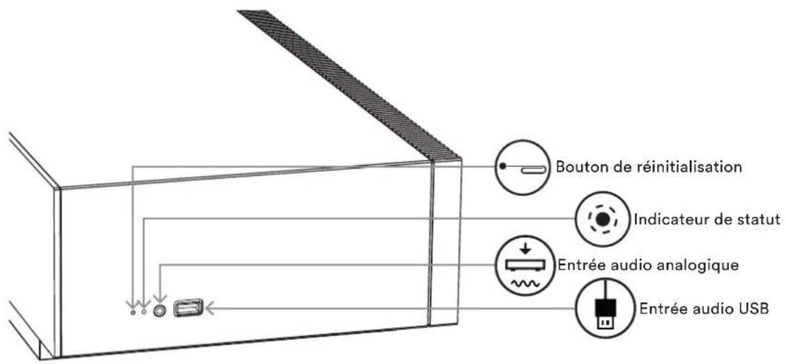 Bouton de réinitialisation Indicateur de statut Entrée audio analogique Entrée audio USB