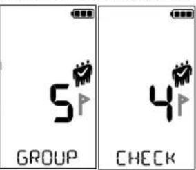 Pieps Mini IPS - ASÍ ES COMO ENTRAS EN EL MODO DE VERIFICACIÓN DE GRUPO: - 1