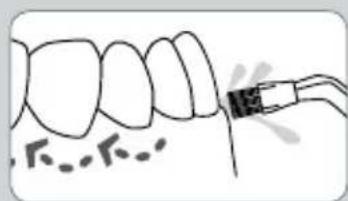 Waterpik WP-583 - BECCUCCI - 9