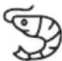 DOMO DO1198FR - PROGRAMMES AUTOMATIQUES - 5