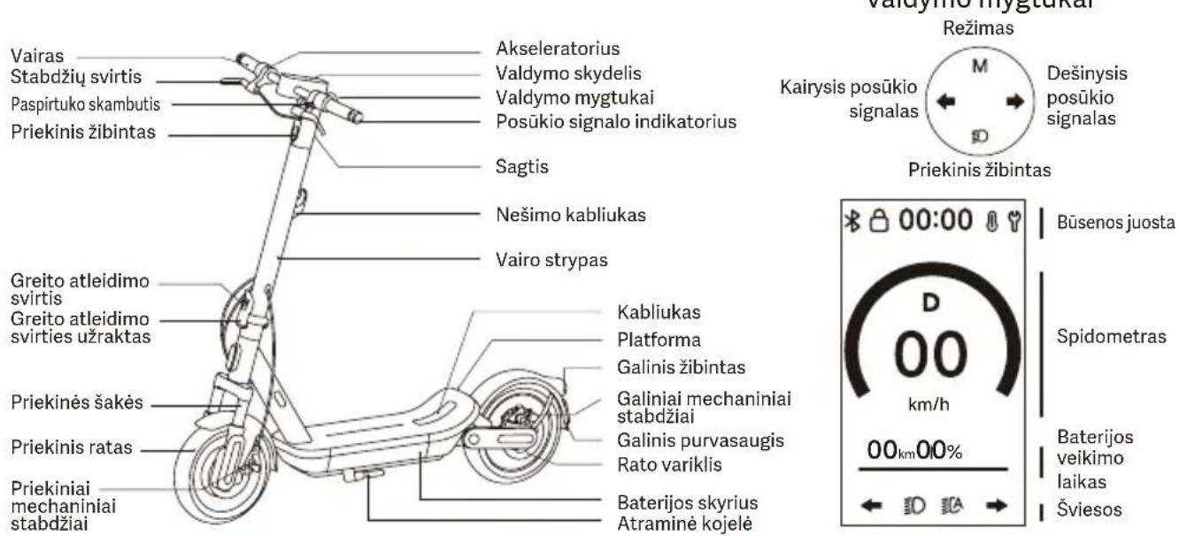 Valdymo mygtukai Režimas Kairysis posūkio signalas Dešinysis posūkio signalas Priekinis žibintas Sagtis Nešimo kabliukas Vairo strypas Greito atleidimo svirtis Greito atleidimo svirties užraktas Priekinės šakės Priekinis ratas Priekiniai mechaniniai stabdžiai Akseleratorius Valdymo skydelis Valdymo mygtukai Posūkio signalo indikatorius Kabliukas Platforma Galinis žibintas Galiniai mechaniniai stabdžiai Galinis purvasaugis Rato variklis Baterijos skyrius Atraminė kojelė Būsenos juosta Spidometras 00km/00% 00km 00% Baterijos veikimo laikas Šviesos