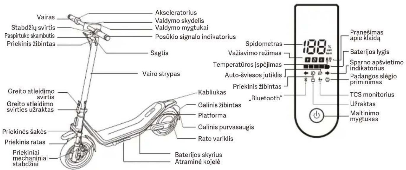 Vairas Stabdžių svirtis Paspirtuko skambutis Priekinis žibintas Sagtis Vairo strypas Greito atleidimo svirtis Greito atleidimo svirties užraktas Priekinės šakės Priekinis ratas Priekiniai mechaniniai stabdžiai Akseleratorius Valdymo skydelis Valdymo mygtukai Posūkio signalo indikatorius Spidometras Važiavimo režimas Temperatūros įspėjimas Auto-šviesos jutiklis Priekinis žibintas „Bluetooth“ Kabliukas Galinis žibintas Platforma Galinis purvasaugis Rato variklis Baterijos skyrius Atraminė kojelė Pranešimas apie klaidą Baterijos lygis Sparno apšvietimo indikatorius Padangos slėgio priminimas TCS monitorius Užraktas Maitinimo mygtukas