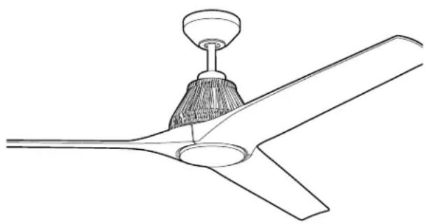 Craftmade Sea Scape SEA56 - Tester donne ventilateur. - 1