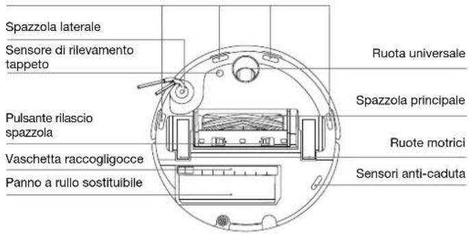 ECOVACS DEEBOT T80S OMNI - DEEBOT visto di fronte - 1