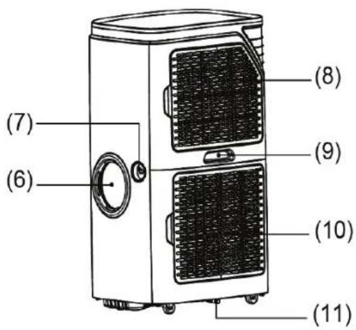 Wood's AC Palermo 18K Duo A+ - B. - 3