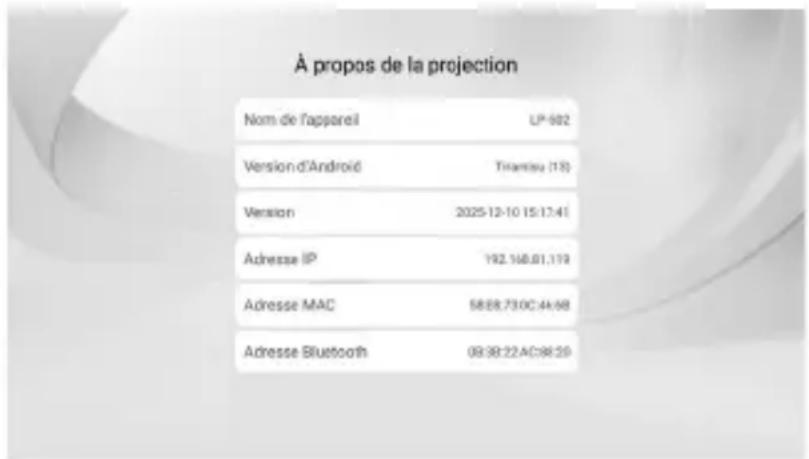 Maginon LP-502 - A PROPOS DU PROJECTEUR - 1