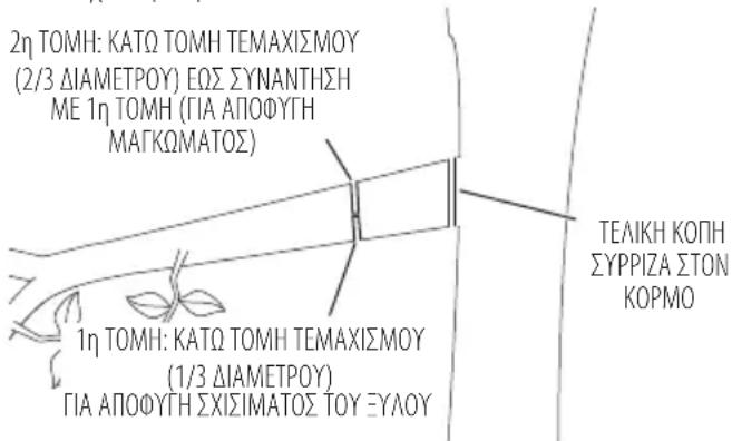 DEWALT DCMCST632N - Kλαδεμα - 1