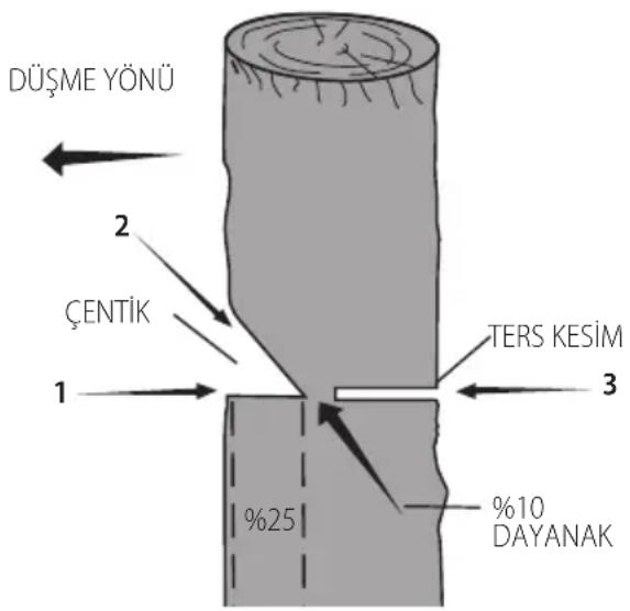 DEWALT DCMCST632N - Geleneksel Gentik Atma - 1