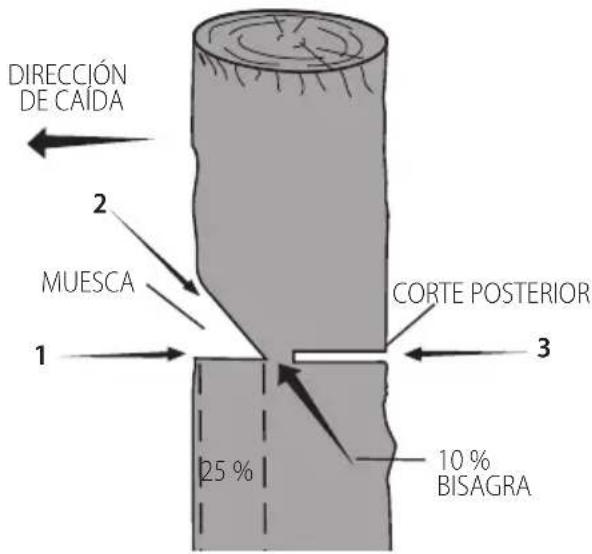 DEWALT DCMCST632N - Muescado convencional - 1