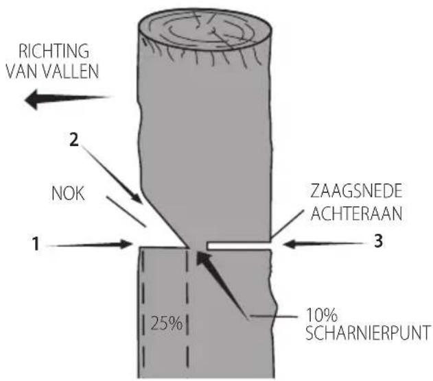 DEWALT DCMCST632N - Conventionele kerf - 1