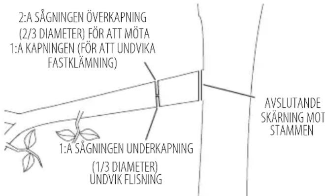 DEWALT DCMCST632N - Beskärning - 1