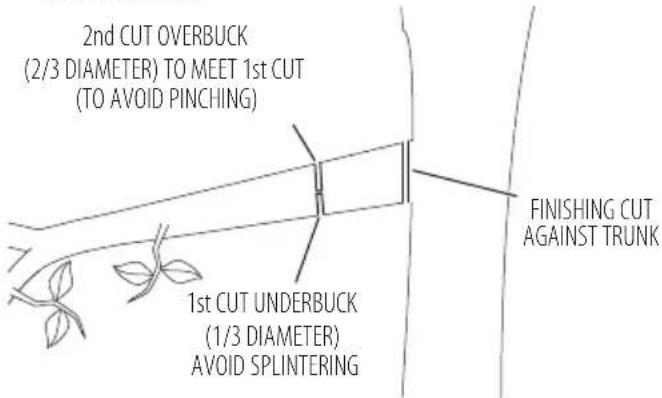 DEWALT DCMCST632N - Pruning - 1