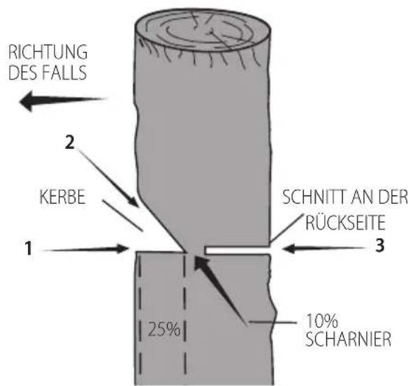 DEWALT DCMCST632N - Konventioneller Kerbschnitt - 1