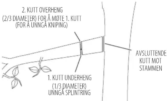 DEWALT DCMCST632N - Beskjæring - 1