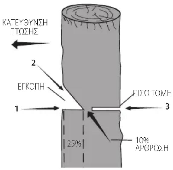 DEWALT DCMCST632N - Σuβατικεγκοπη - 1