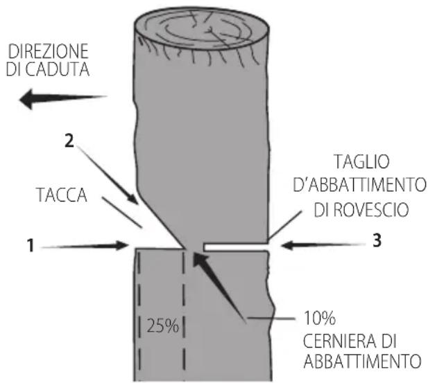 DEWALT DCMCST632N - Tacca convenzionale - 1