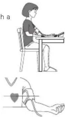 TERRAILLON Tensio Connect - SITTING IN THE RIGHT POSITION - 1