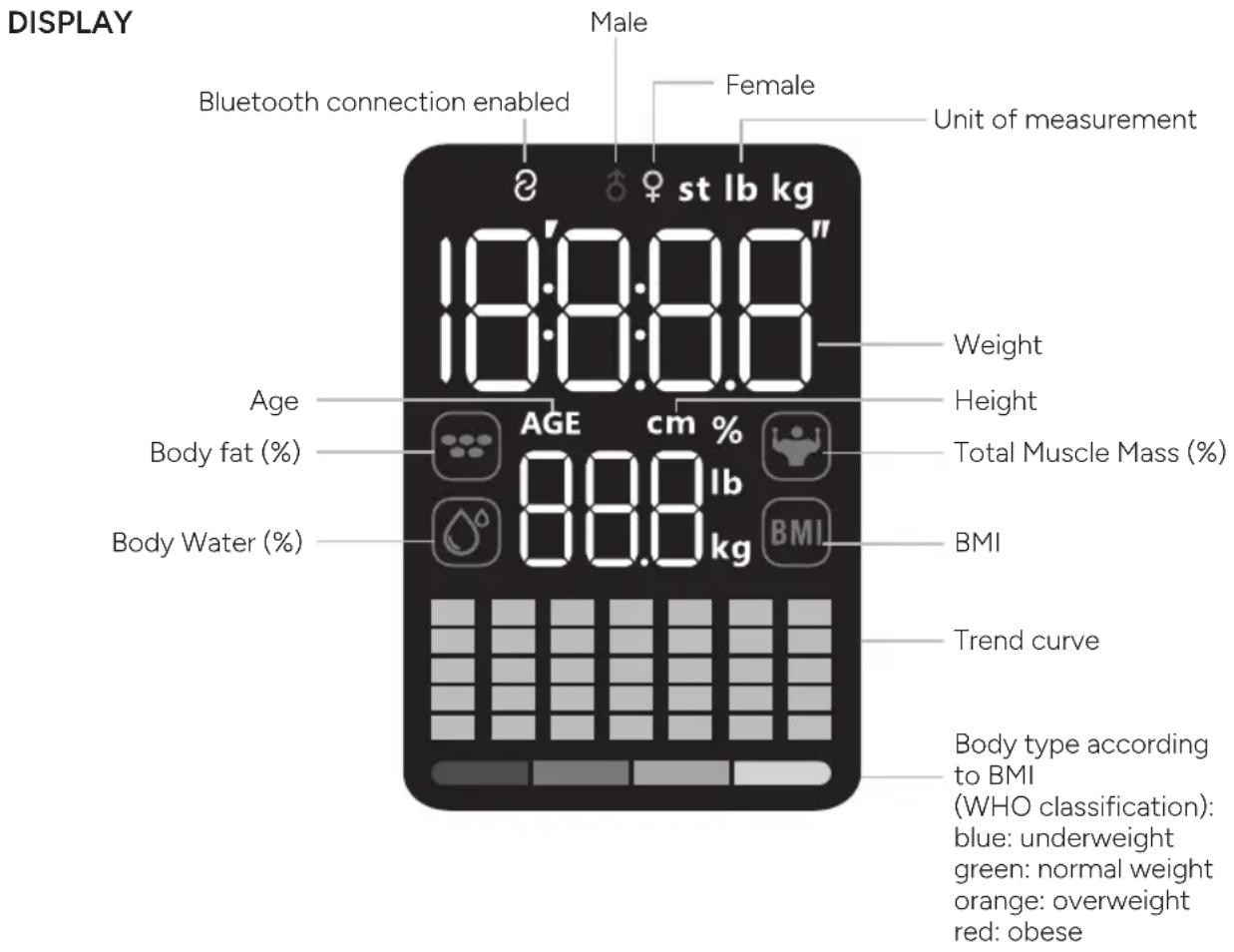 TERRAILLON Evo Fit - TERRAILLON CONNECTED BODY COMPOSITION ANALYZER - 1
