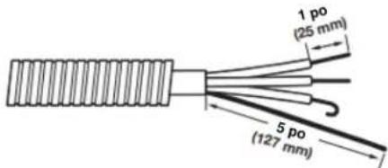 MAYTAG MED7205RR - Préparer le câble à 4 fils pour un raccordement direct - 1