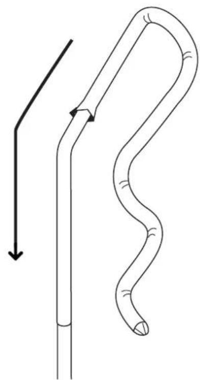 Salta Premium Ground 5832A - VIDEO INSTRUCTIONS - 51