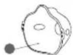 Neno Atemo - Spis treści - 7