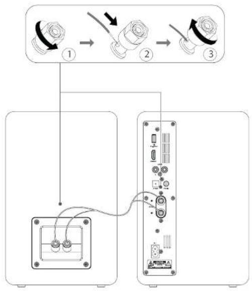 Essentiel B ERBS-01 - Connexion des enceintes - 1