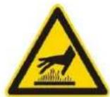 T.I.P. LTP 250/25 - Va rugam sa tineti cont de urmatoarele pictograme: - 3
