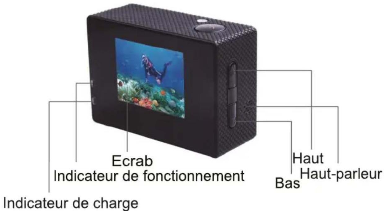 Ecrab Indicateur de fonctionnement Indicateur de charge Bas Haut Haut-parleur
