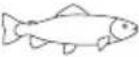 SILVERCREST SKM 1000 A1 - Gartabelle - 19