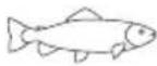 SILVERCREST SKM 1000 A1 - Tableau de cuisson - 15