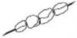 SILVERCREST SKM 1000 A1 - Gartabelle - 12