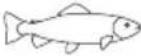 SILVERCREST SKM 1000 A1 - Gartabelle - 18