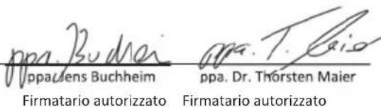 PARKSIDE PAMSP 20-Li A2 - DICHIARAZIONE DI CONFORMITÀ UE (N. 485619\_2501-1) - 1