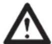 CARRERA No 655 - ABOUT THESE INSTRUCTIONS - 1