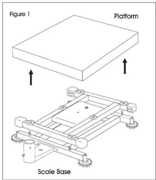 Uline H-5837 - UNPACKING THE SCALE - 1