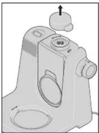SILVERCREST SKMB 1000 A1 - Arbeitsprozess - 1