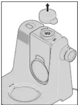 SILVERCREST SKMB 1000 A1 - Pracovný proces - 1