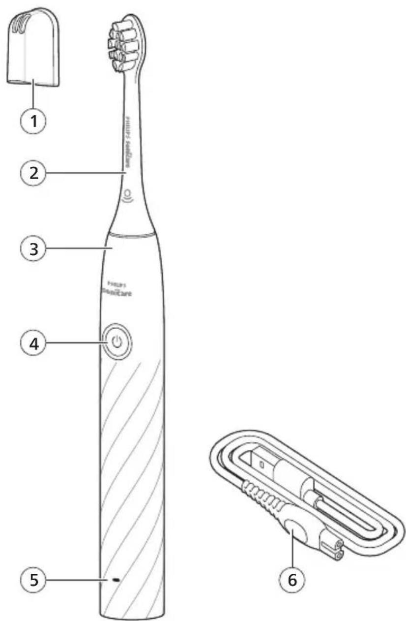 PHILIPS Sonicare 1100 HX3901 - 1