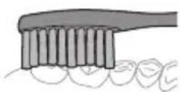 PHILIPS Sonicare 1100 HX3901 - Instructions de brossage - 6