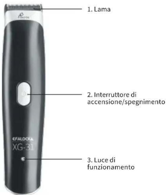 Efalock XG-31 - DOTAZIONE - 1